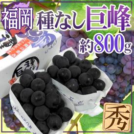 ぶどう ”福岡産 種なし巨峰” 秀品 2〜3房 約800g 化粧箱 ぶどう【予約 7月以降】 送料無料