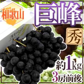 ぶどう ”和歌山産 巨峰” 秀品 3房前後 満杯詰 約1kg 化粧箱【予約 7月末以降】 送料無料
