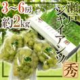岡山産 ”瀬戸ジャイアンツ” 3～6房 約2kg 化粧箱 ぶどう【予約 8月以降】 送料無料