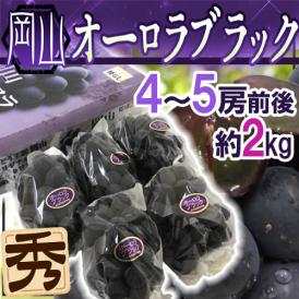 岡山産 ”オーロラブラック” 秀品 4〜5房前後 約2kg 化粧箱【予約 7月下旬以降】 送料無料