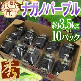 長野産 ”ナガノパープル” 秀品 10pc 約3.5kg パック入り ぶどう【予約 8月末以降】 送料無料