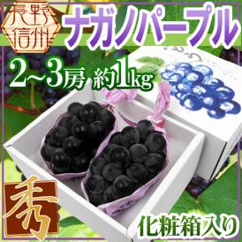長野産 ”ナガノパープル” 秀品 2〜3房 約1kg以上 化粧箱 ぶどう【予約 9月以降】[K1] 送料無料