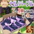 長野産 ”ナガノパープル” 秀品 7〜10房前後 約4kg ぶどう【予約 9月以降】[M1] 送料無料