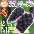 長野産 ”ナガノパープル” 秀品 2〜3房 約1kg以上 ぶどう【予約 9月以降】