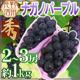 長野産 ”ナガノパープル” 秀品 2〜3房 約1kg以上 ぶどう【予約 9月以降】