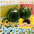 父の日ギフト ”ルナピエナすいか” 秀品 2玉 約12kg以上＋ひまわり生花2本【予約 6月8～15日お届け予定】 送料無料