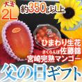 遅れてごめんね！父の日ギフト ”佐藤錦＋宮崎完熟マンゴー” 大玉2Lサイズ＋ひまわり生花1本【予約 6月16日以降】 送料無料