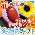 父の日ギフト ”宮崎完熟マンゴー” 特大玉4Lサイズ+ひまわり生花1本【予約 6月14~21日お届け予定】 送料無料
