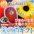 父の日ギフト ”太陽のタマゴ” 大玉2Lサイズ＋ひまわり生花1本【予約 6月14～21日お届け予定】 送料無料