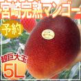 ”宮崎完熟マンゴー”秀品 5Lサイズ限定《3玉購入で送料無料！4玉購入で1玉おまけ》 宮崎マンゴー【予約 5月下旬以降】