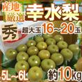 ”幸水梨” 秀品 超大玉5L～6L 16～20玉 約10kg 産地厳選【予約 8月以降】 送料無料