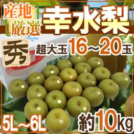 ”幸水梨” 秀品 超大玉5L～6L 16～20玉 約10kg 産地厳選【予約 8月以降】 送料無料