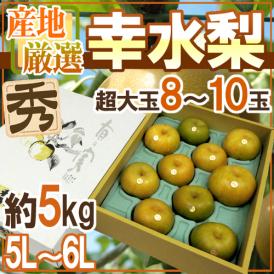 ”幸水梨” 秀品 超大玉5L～6L 8～10玉 約5kg 産地厳選【予約 8月以降】 送料無料