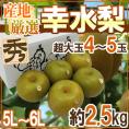 ”幸水梨” 秀品 超大玉5L～6L 4～5玉 約2.5kg 産地厳選【予約 8月以降】 送料無料
