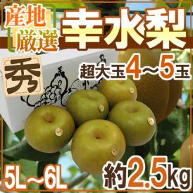 ”幸水梨” 秀品 超大玉5L～6L 4～5玉 約2.5kg 産地厳選【予約 8月以降】 送料無料