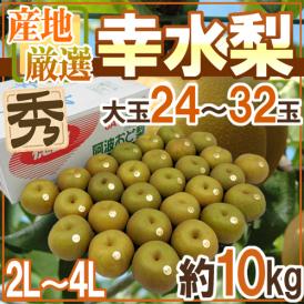 ”幸水梨” 秀品 大玉2L～4L 24～32玉 約10kg 産地厳選【予約 8月以降】 送料無料