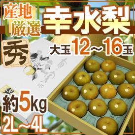 ”幸水梨” 秀品 大玉2L～4L 12～16玉 約5kg 産地厳選【予約 8月以降】 送料無料