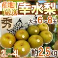 ”幸水梨” 秀品 大玉2L～4L 6～8玉 約2.5kg 産地厳選【予約 8月以降】 送料無料