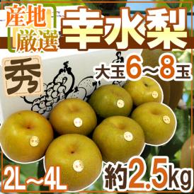 ”幸水梨” 秀品 大玉2L～4L 6～8玉 約2.5kg 産地厳選【予約 8月以降】 送料無料