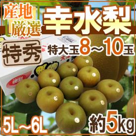 ”幸水梨” 特秀品 超大玉5L～6L 8～10玉 約5kg 産地厳選 糖度12度以上【予約 8月以降】 送料無料