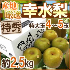 ”幸水梨” 特秀品 超大玉5L～6L 4～5玉 約2.5kg 産地厳選 糖度12度以上【予約 8月以降】 送料無料