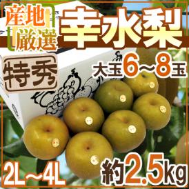 ”幸水梨” 特秀品 大玉2L～4L 6～8玉 約2.5kg 産地厳選 糖度12度以上【予約 8月以降】 送料無料
