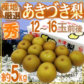 ”あきづき梨（秋月）” 秀品 大玉12～16玉前後 約5kg 産地厳選【予約 9月以降】 送料無料