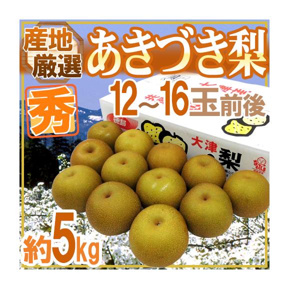 &rdquo;あきづき梨（秋月）&rdquo; 秀品 大玉12～16玉前後 約5kg 産地厳選【予約 9月以降】 送料無料01