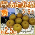 &rdquo;あきづき梨（秋月）&rdquo; 秀品 5～9玉前後 約2.5kg 産地厳選 【予約 9月以降】 送料無料