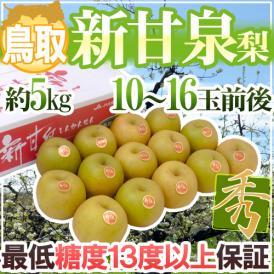 鳥取産 ”新甘泉（しんかんせん）梨” 秀品 大玉10～16玉前後 約5kg【予約 8月下旬以降】 送料無料