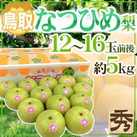 鳥取産 ”なつひめ梨” 秀品 大玉12～16玉前後 約5kg【予約 8月末以降】 送料無料