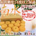 長野産 ”南水梨 太鼓判” 大玉10～16玉前後 約5kg【予約 9月下旬以降】 送料無料