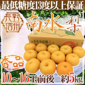長野産 ”南水梨” 秀品 大玉10～16玉前後 約5kg【予約 9月下旬以降】 送料無料
