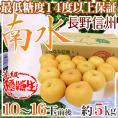 長野産 ”南水梨 優糖生” 大玉10～16玉前後 約5kg【予約 9月下旬以降】 送料無料