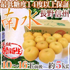 長野産 ”南水梨 優糖生” 大玉10～16玉前後 約5kg【予約 9月下旬以降】 送料無料