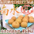 長野産 ”南水梨” 訳あり 約5kg 大きさおまかせ【予約 9月下旬以降】 送料無料