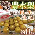 ”豊水梨” 秀品 超大玉5L～6L 16～20玉 約10kg 産地厳選【予約 8月中下旬以降】 送料無料