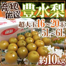 ”豊水梨” 秀品 超大玉5L～6L 16～20玉 約10kg 産地厳選【予約 8月中下旬以降】 送料無料