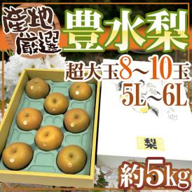 ”豊水梨” 秀品 超大玉5L～6L 8～10玉 約5kg 化粧箱 産地厳選【予約 8月中下旬以降】 送料無料