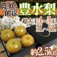 ”豊水梨” 秀品 超大玉5L～6L 4～5玉 約2.5kg 産地厳選【予約 8月中下旬以降】 送料無料