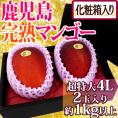 鹿児島産 ”完熟マンゴー” 秀品 超特大4L 2玉 約1kg以上 化粧箱【予約 5月中下旬以降】 送料無料