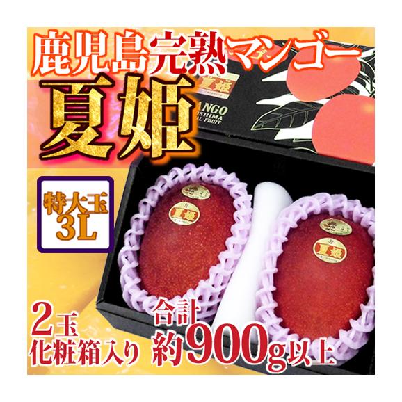 速報】完熟マンゴー、過去最高値の70万円 宮崎「太陽のタマゴ