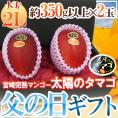 遅れてごめんね！父の日ギフト ”太陽のタマゴ” 大玉2Lサイズ 2玉 化粧箱【予約 6月16日以降】