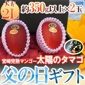 父の日ギフト ”太陽のタマゴ” 大玉2Lサイズ 2玉 化粧箱【予約 6月9～16日お届け予定】