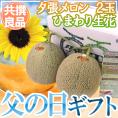 父の日ギフト ”夕張メロン” 共撰良品 2玉 約3.2kg+ひまわり生花1本【予約 6月14~21日お届け予定】 送料無料