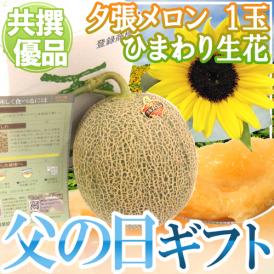 父の日ギフト ”夕張メロン” 共撰優品 1玉 約1.6kg＋ひまわり生花1本【予約 6月9～16日お届け予定】 送料無料