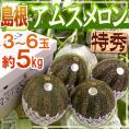 島根県 益田 ”アムスメロン” 特秀 3～6玉 約5kg 糖度16度以上【予約 6月以降】 送料無料