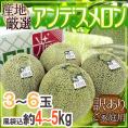 ”アンデスメロン” 訳あり 3～6玉 風袋込約4～5kg 産地厳選【予約 5月末以降】 送料無料