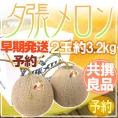 【早期発送・一番成り】北海道 ”夕張メロン” 共撰・良品以上限定 2玉 約3.2kg 専用化粧箱【予約 5月末以降】 送料無料