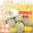 【早期発送・一番成り】北海道 ”夕張メロン” 共撰・良品以上限定 4～6玉 約8kg 専用産地箱【予約 5月末以降】 送料無料